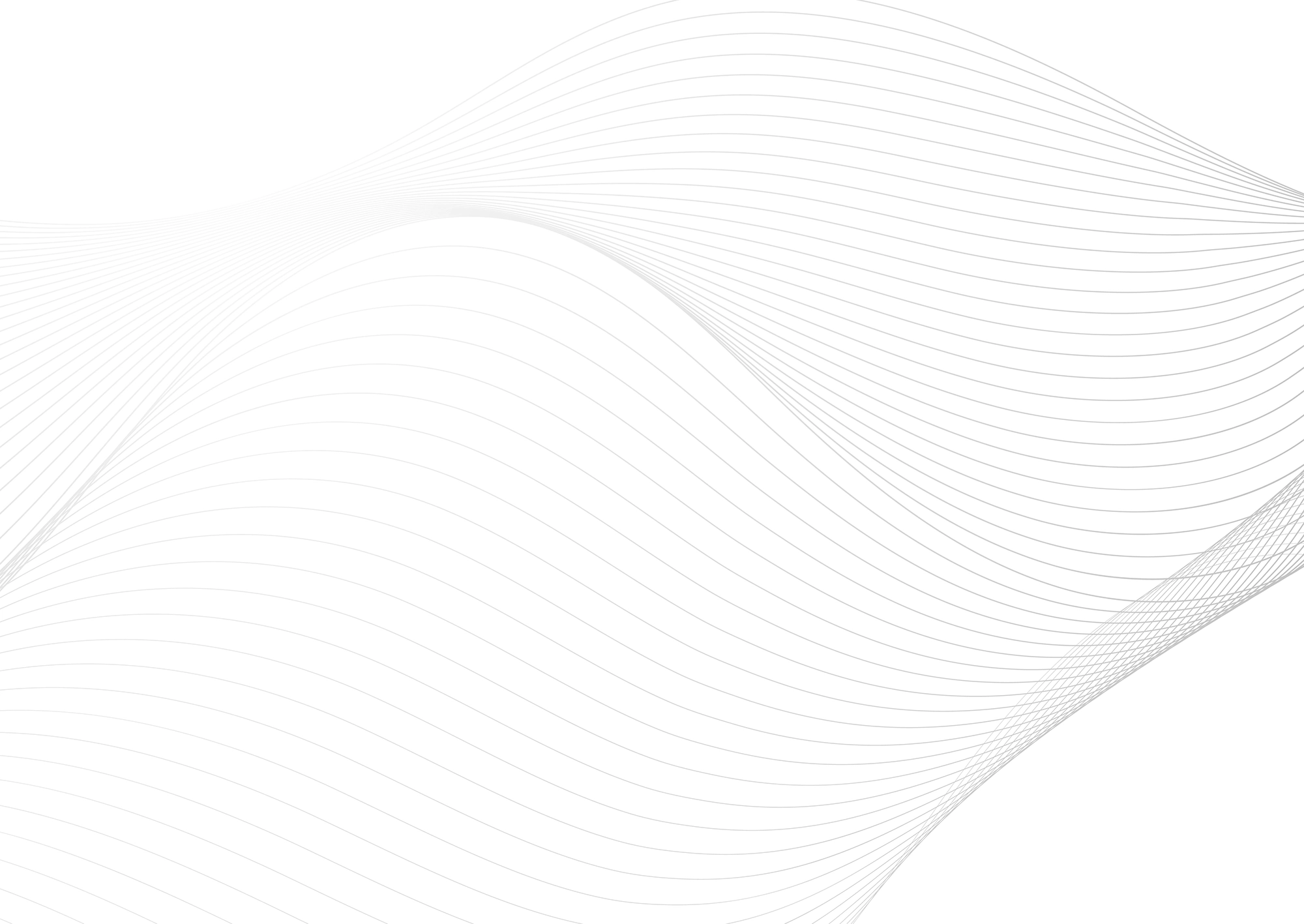 Web Site Tasarımcısı, 19 Mayıs